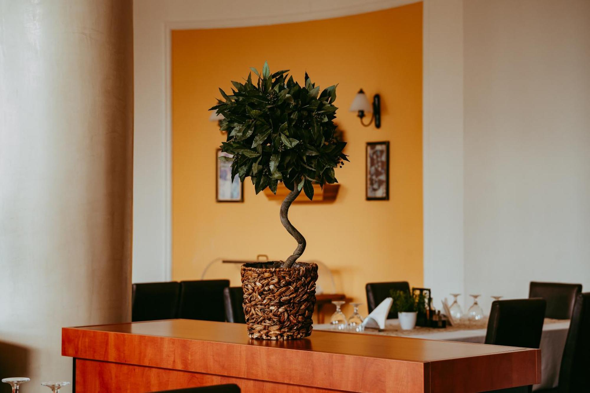 Hotel Aurelia Tesöld Kültér fotó