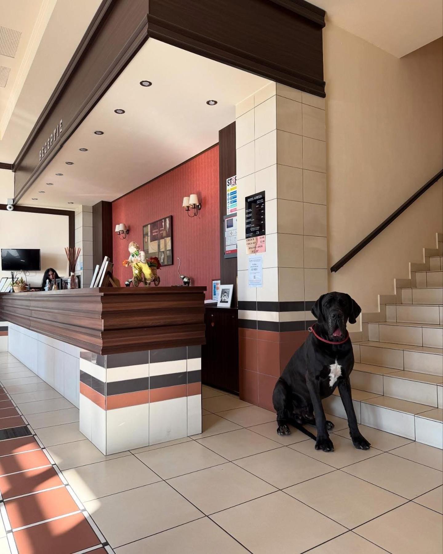 Hotel Aurelia Tesöld Kültér fotó